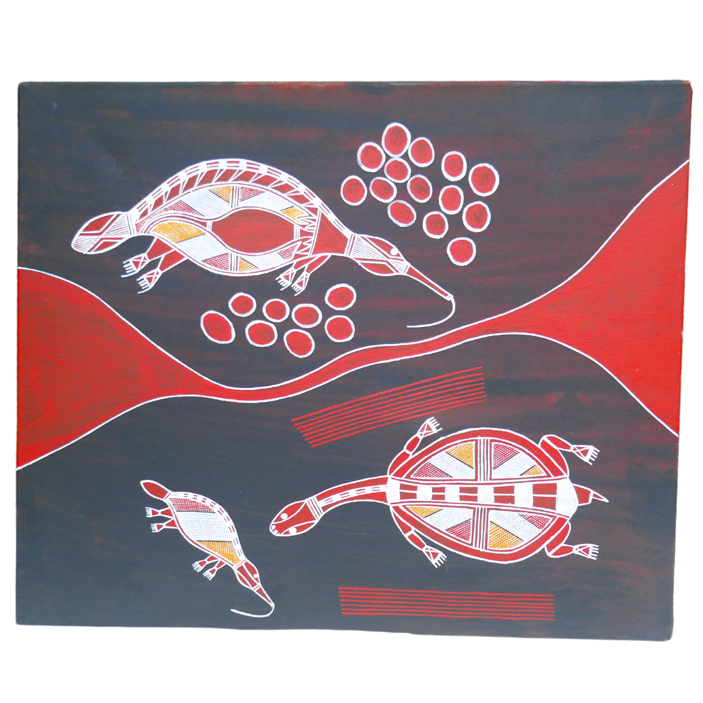 Authentic aboriginal artwork canvas, Aquatic life. Kakadu National Park
