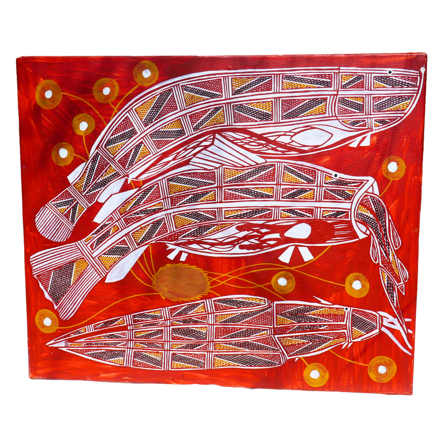 Authentic Aboriginal Artwork canvas, Kakadu National Park.