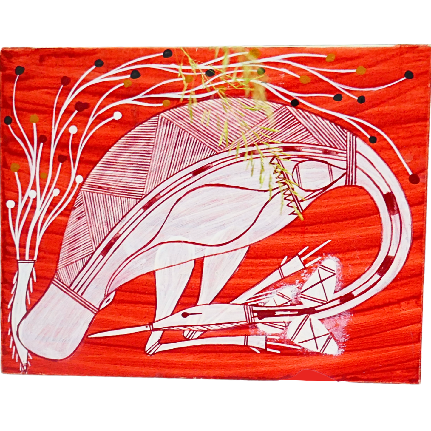 Authentic Aboriginal Artwork canvas, Kakadu National Park.