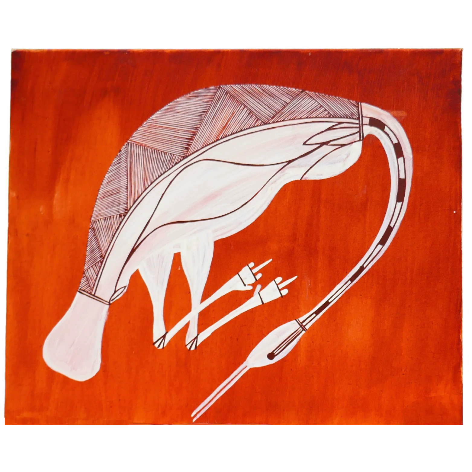 Authentic Aboriginal Artwork canvas, Kakadu National Park. 