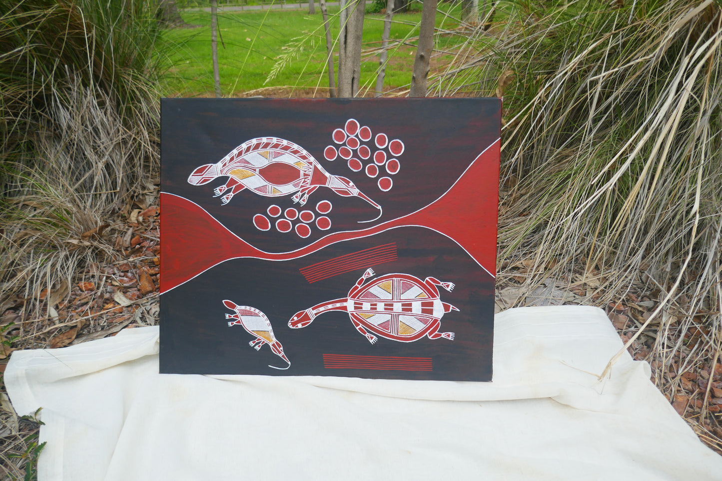 Authentic aboriginal artwork canvas, Aquatic life. Kakadu National Park
